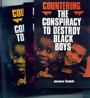 Image result for countering the conspiracy to destroy black boys"